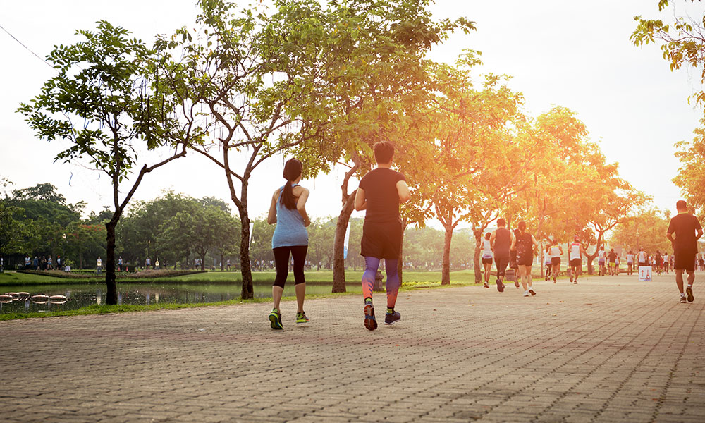 Physical activity boosts GABA production and release in the brain.